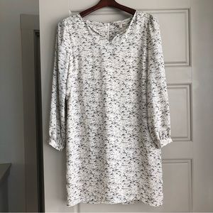 Lila Rose Black and White Shift Dress